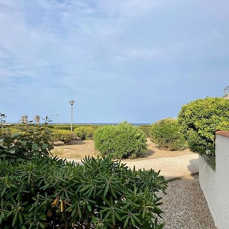 Le Grand Large 3 Pieces En Rez De Jardin, Avec Terrasse Et Acces Direct A La Plage A Pied Le Barcares Ngoại thất bức ảnh