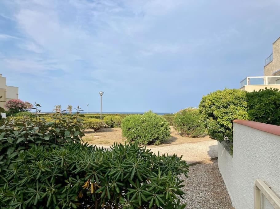 Le Grand Large 3 Pieces En Rez De Jardin, Avec Terrasse Et Acces Direct A La Plage A Pied Le Barcares Ngoại thất bức ảnh